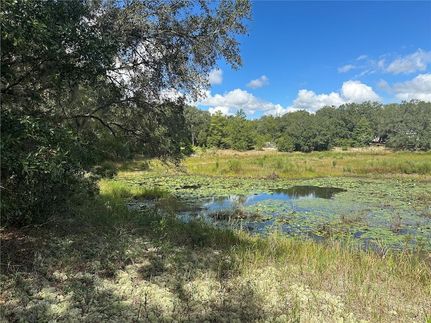 Lakefront Property for sale in Putnam County, Florida