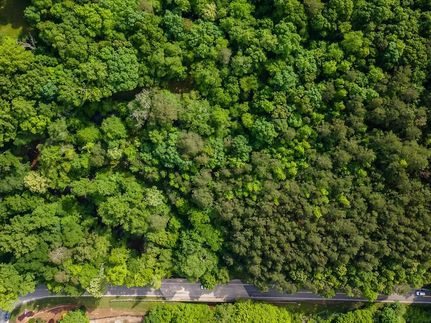 Undeveloped Land for sale in Fulton County, Georgia