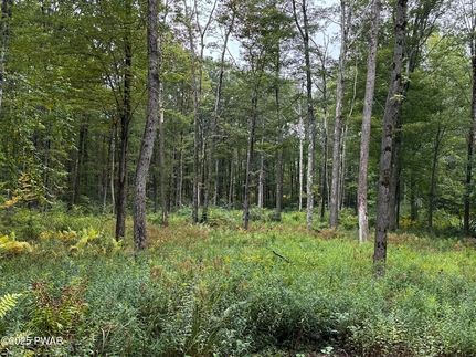 Undeveloped Land for sale in Wayne County, Pennsylvania