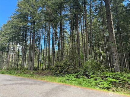 Undeveloped Land for sale in Pierce County, Washington