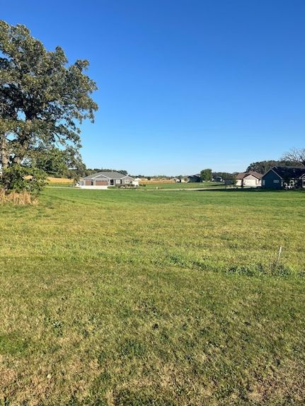 Undeveloped Land for sale in Steele County, Minnesota