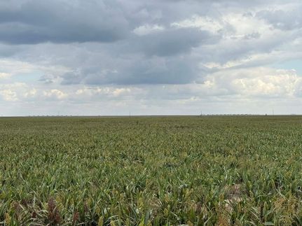 Property for sale in Texas County, Oklahoma