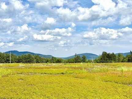 Undeveloped Land for sale in Hancock County, Maine