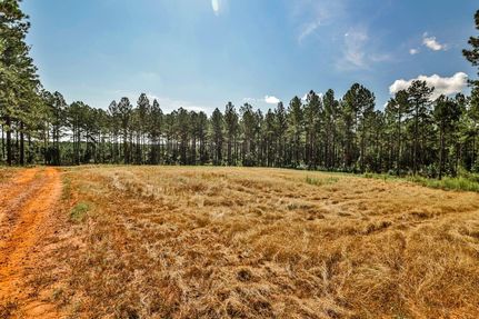 Timberland Property for sale in Monroe County, Georgia