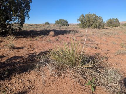 Property for sale in Apache County, Arizona