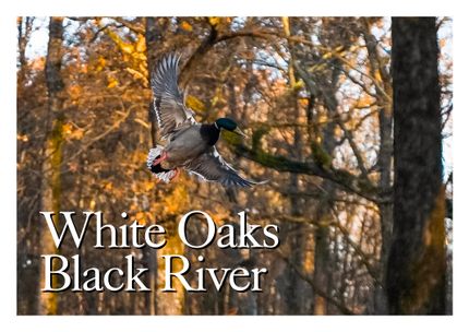 Property for sale in Clay County, Arkansas