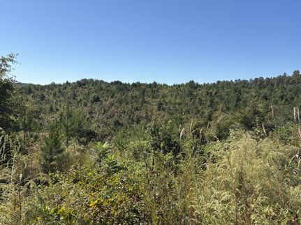 Property for sale in Lamar County, Alabama