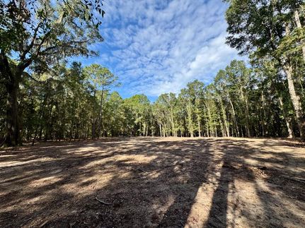 Recreational Property for sale in Jasper County, South Carolina