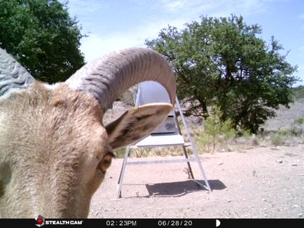 Ranch Property for sale in Crockett County, Texas