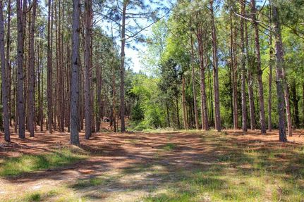 Property for sale in Dale County, Alabama