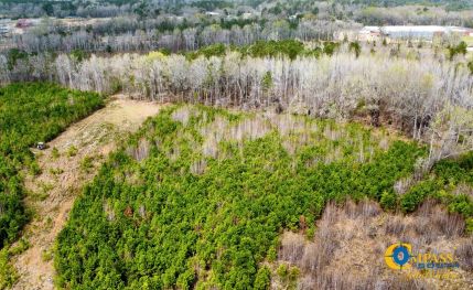 Undeveloped Land for sale in Bamberg County, South Carolina