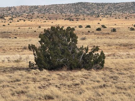 Farm Property for sale in Apache County, Arizona