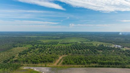 Farm Property for sale in Lanier County, Georgia