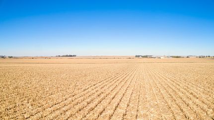 Undeveloped Land for sale in Cherokee County, Iowa