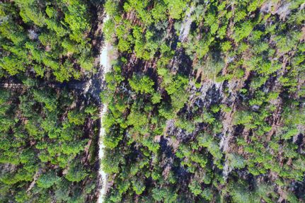 Property for sale in Putnam County, Florida