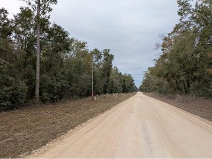 Undeveloped Land for sale in Suwannee County, Florida