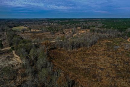 Undeveloped Land for sale in Webster County, Mississippi