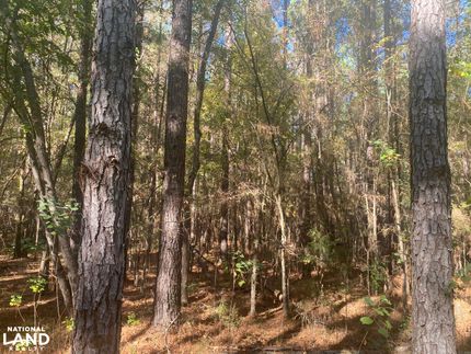 Property for sale in Montgomery County, Alabama