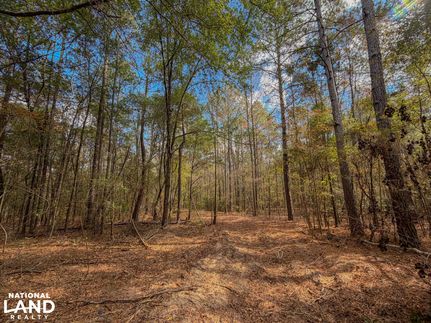 Timberland Property for sale in Chilton County, Alabama