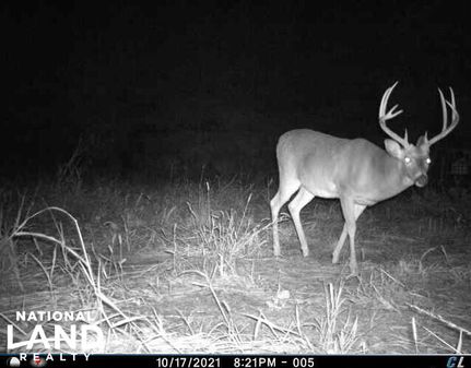 Property in East Carroll Parish, Louisiana