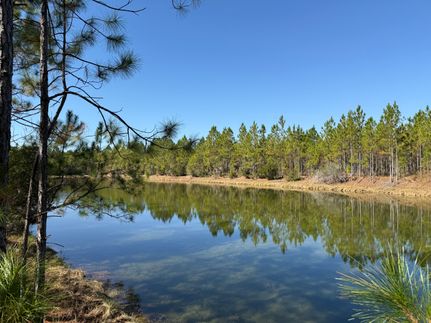 Property for sale in Gulf County, Florida