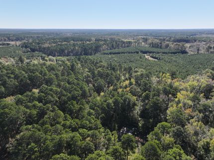 Undeveloped Land for sale in Bienville Parish, Louisiana