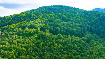 Commercial Property for sale in Greenville County, South Carolina