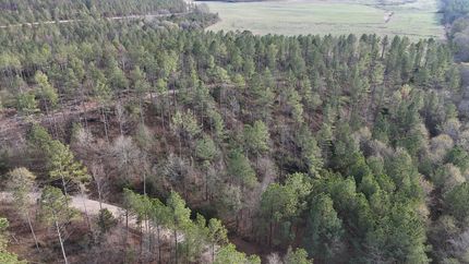 Property for sale in Cherokee County, Alabama