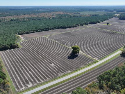 Farm Property for sale in Bertie County, North Carolina