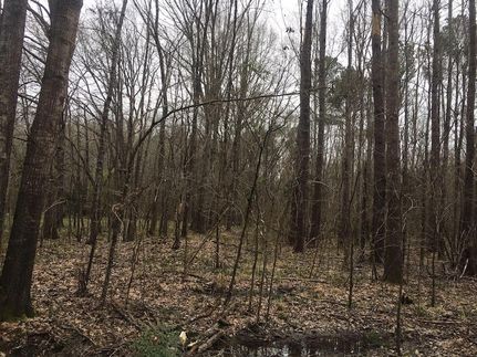 Undeveloped Land for sale in Oktibbeha County, Mississippi