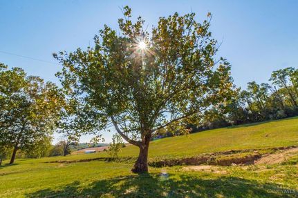Undeveloped Land for sale in Adams County, Ohio