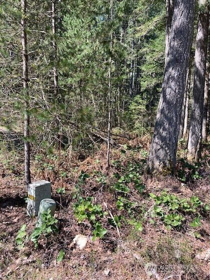 Property for sale in Mason County, Washington