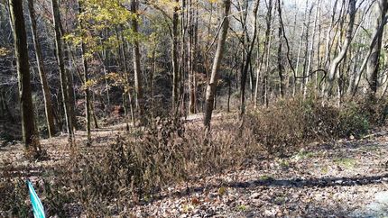 Property for sale in DeKalb County, Tennessee