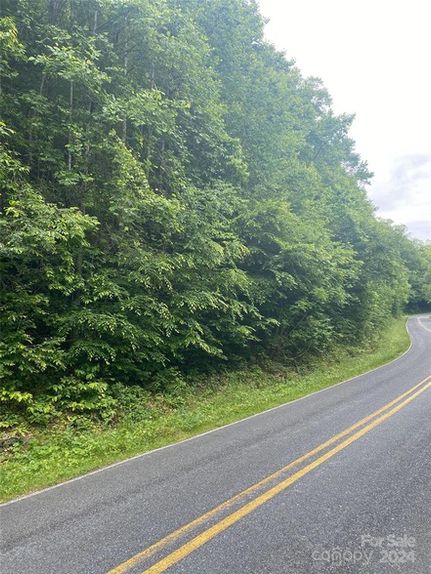 Undeveloped Land for sale in Rutherford County, North Carolina