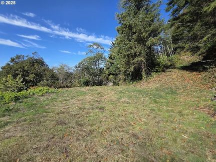 Undeveloped Land for sale in Curry County, Oregon