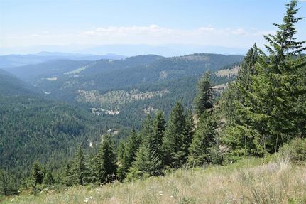 Undeveloped Land for sale in Stevens County, Washington
