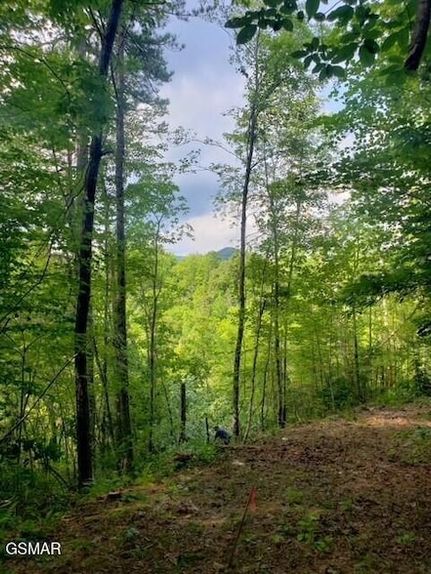 Property for sale in Sevier County, Tennessee