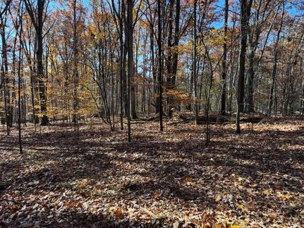 Undeveloped Land for sale in Bradford County, Pennsylvania