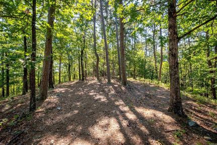 Undeveloped Land for sale in Pulaski County, Arkansas