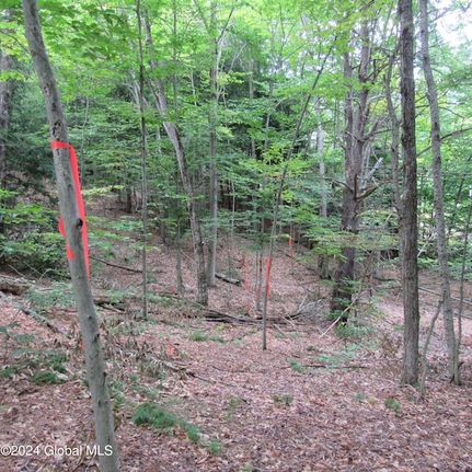 Undeveloped Land for sale in Saratoga County, New York