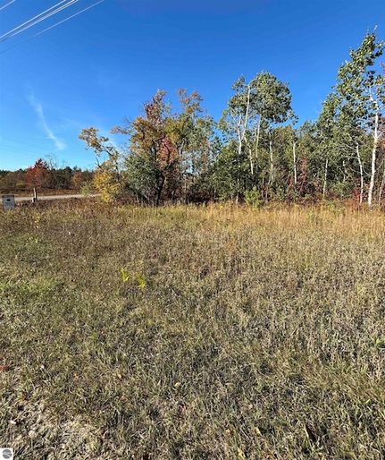 Undeveloped Land for sale in Antrim County, Michigan