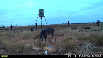 Undeveloped Land for sale in Baylor County, Texas