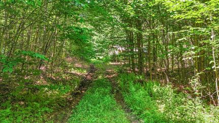 Undeveloped Land for sale in Essex County, New York