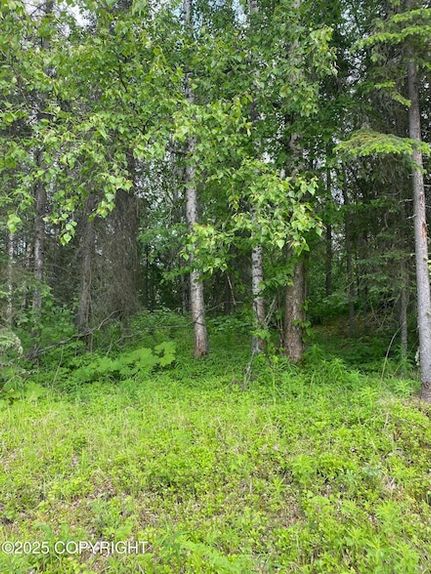 Property for sale in Matanuska-Susitna Borough, Alaska