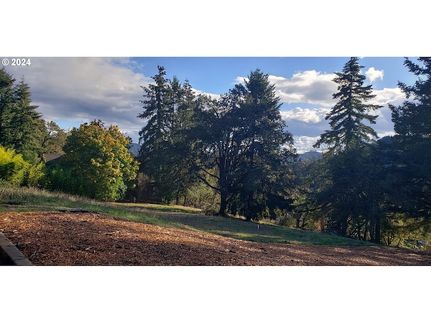 Undeveloped Land for sale in Douglas County, Oregon