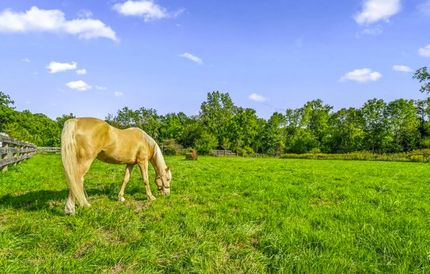 Property for sale in Lorain County, Ohio