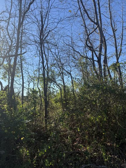 Property for sale in Le Flore County, Oklahoma