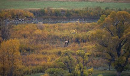 Property for sale in Moffat County, Colorado