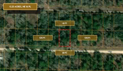 Undeveloped Land for sale in Levy County, Florida