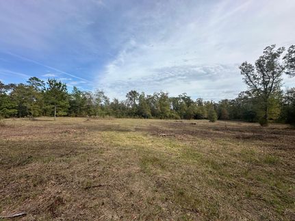 Hunting Land for sale in Jackson County, Florida